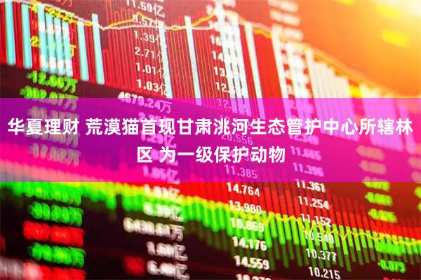 华夏理财 荒漠猫首现甘肃洮河生态管护中心所辖林区 为一级保护动物