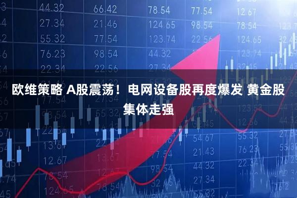 欧维策略 A股震荡！电网设备股再度爆发 黄金股集体走强
