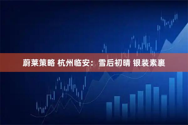 蔚莱策略 杭州临安：雪后初晴 银装素裹